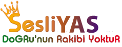 SesLiYaS.Com, SesliChat, SesliSohbet, SesliSiteler